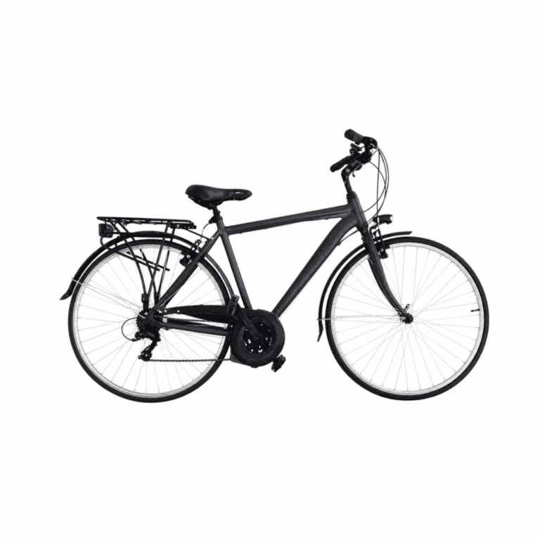 Xeris bicicletta uomo