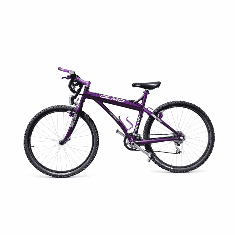 Mountain Bike Olmo